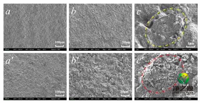 活性炭改性后增强水蒸汽吸附